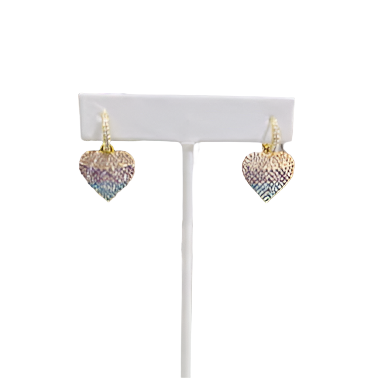 OMBRE HEART SPECIAL EARRINGS