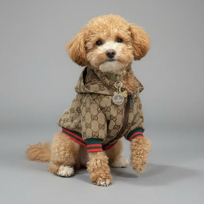 DOG GUCCI HOODIE