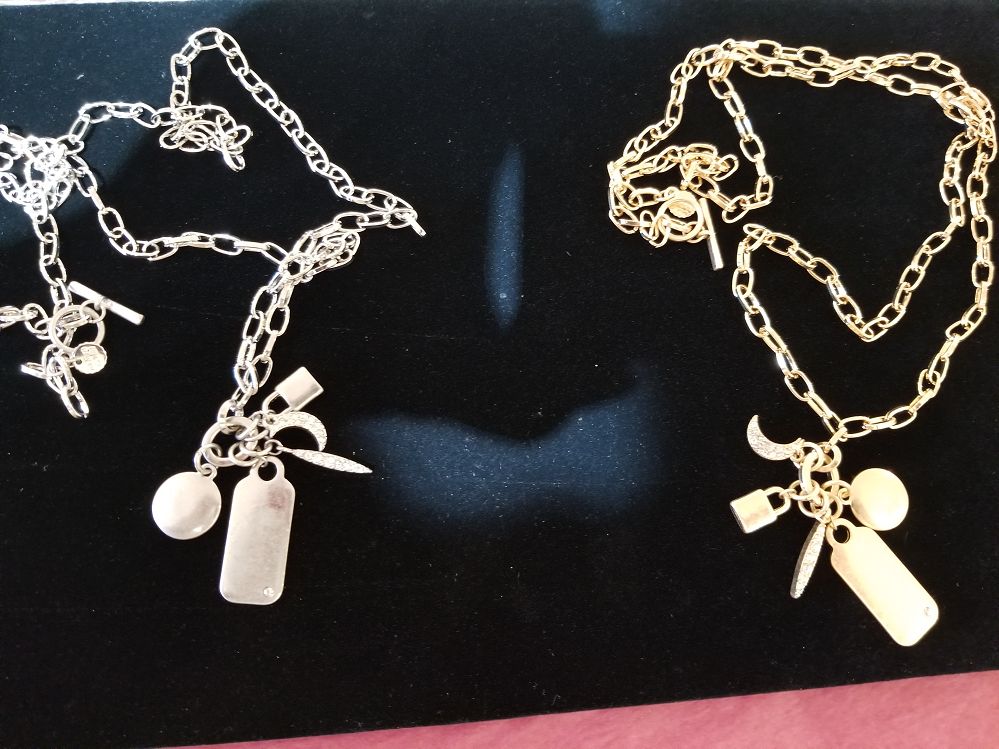 DOG TAG CHARM NECKLACE