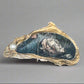 OYSTER SHELL JEWELRY HOLDERS