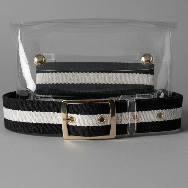 CLEAR BELT BAG