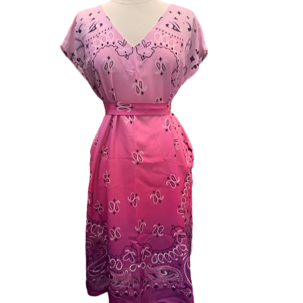 LIGHT PINK AND DARK DRESS